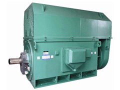 安州Y系列6KV高压电机